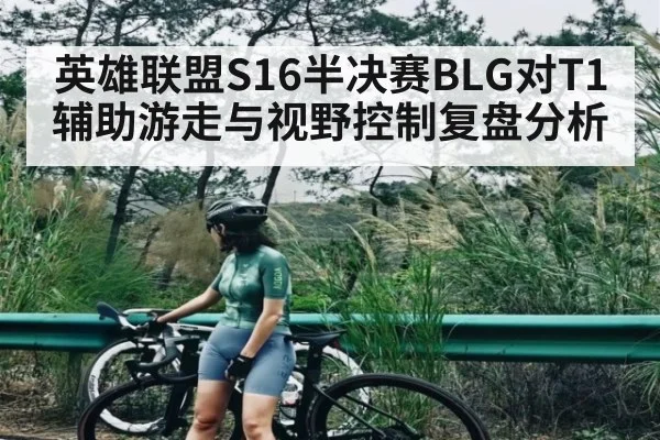 英雄联盟S16半决赛BLG对T1辅助游走与视野控制复盘分析
